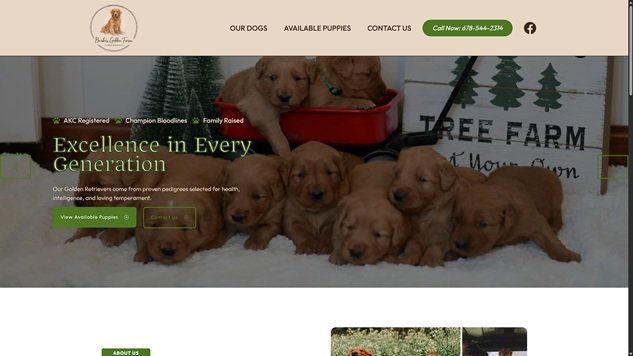 Dog Adoption Website Design and Development Mcdonough Ga